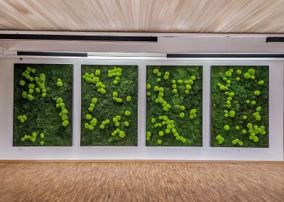 Vier großformatige Moosbilder von Mission Green GmbH als Wandinstallation in einem modernen Büro- oder Veranstaltungsraum.
