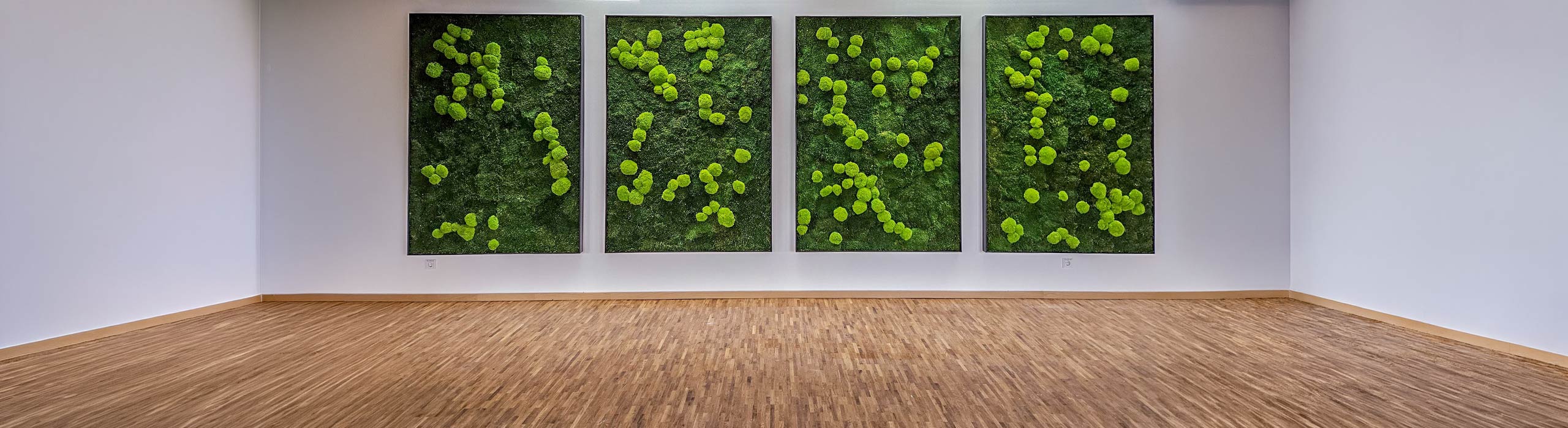 Vier großformatige Moosbilder von Mission Green GmbH als Wandinstallation in einem modernen Büro- oder Veranstaltungsraum.